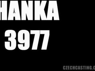 Tšekki valu hanka (3977)