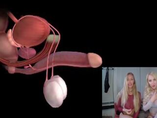 Vyras orgazmas anatomy explained educational joi: nemokamai xxx video 85